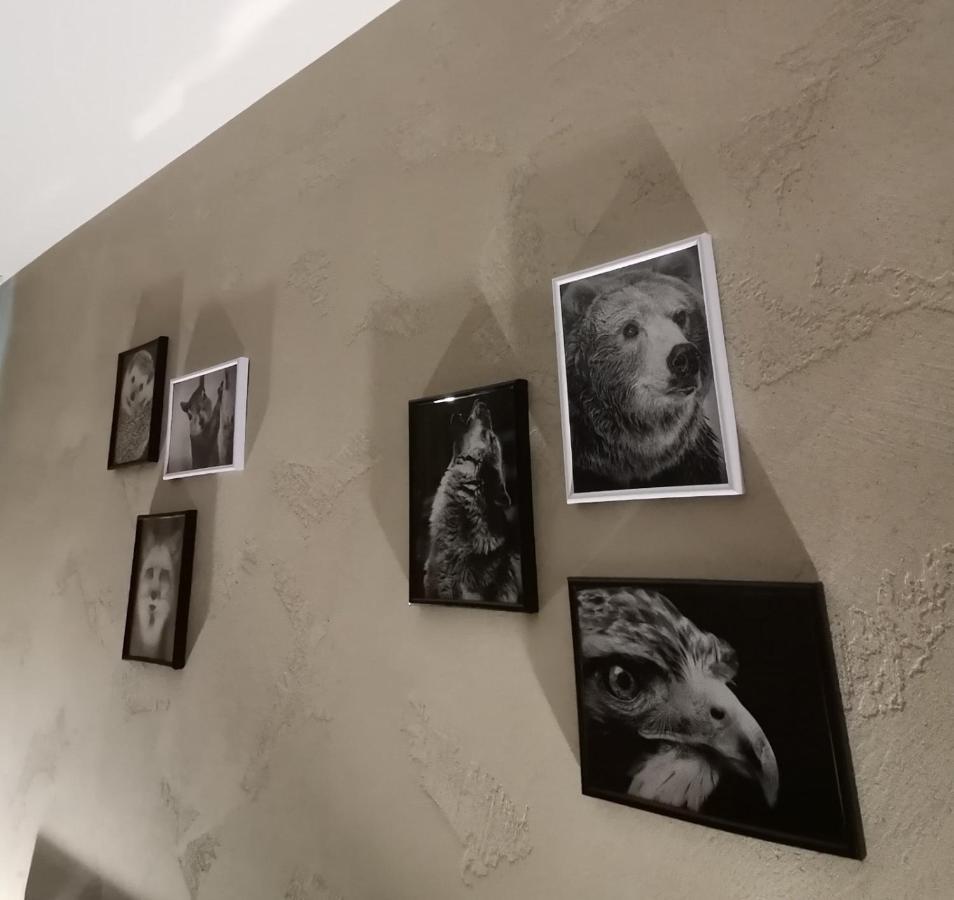 Studio A3 Borovets Gardens Bagian luar foto